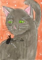 black cat with green eyes